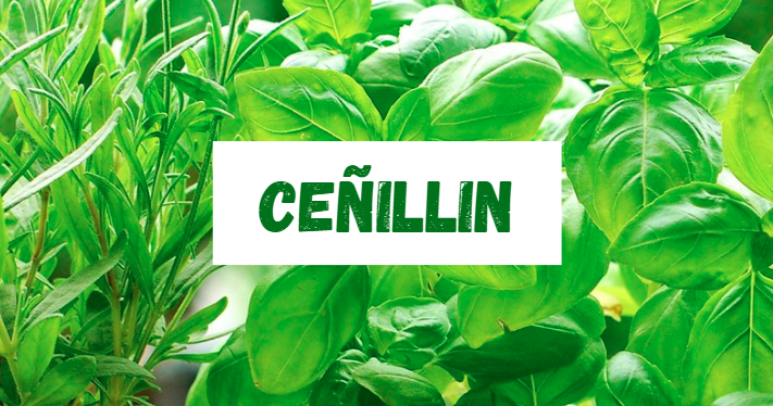 Ceñillin