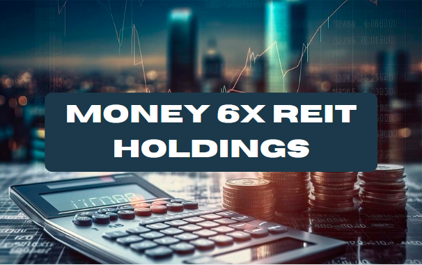 Money 6X REIT Holdings