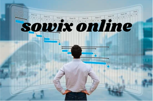 Sowix Online