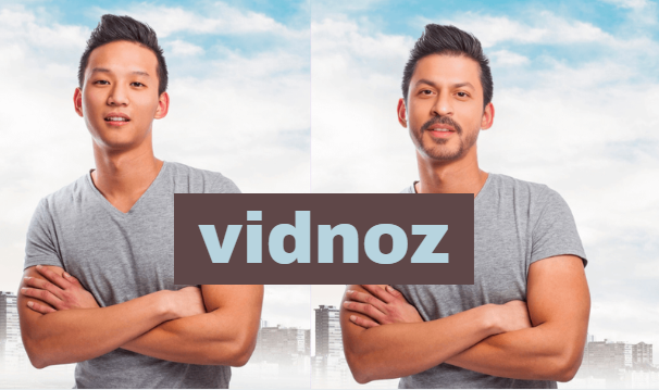 Vidnoz