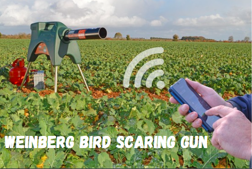 Weinberg Bird Scaring Gun